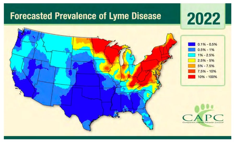 Lyme disease incidences in 2022