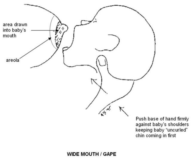 how to latch baby