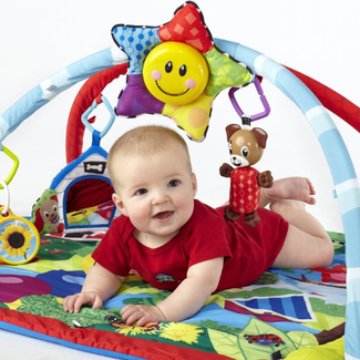 baby-einstein-play-gym